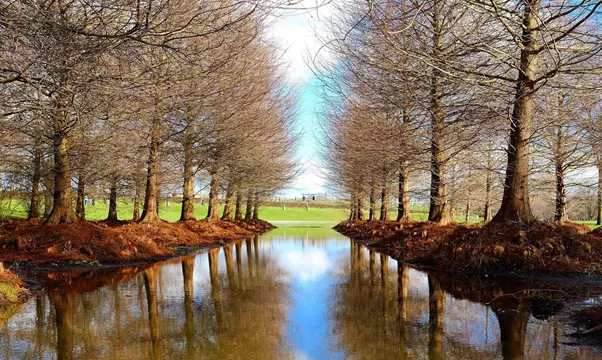 Westerpark is one of many gorgeous parks in Amsterdam - and is home to numerous bars, too
