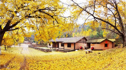 China Qiannian Yinxing Valley