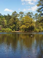 Chattahoochee Nature Center