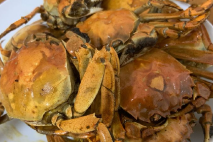 霞湧市場海鮮擺賣市場