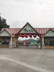 Guangming Grass Skiing Amusement Park