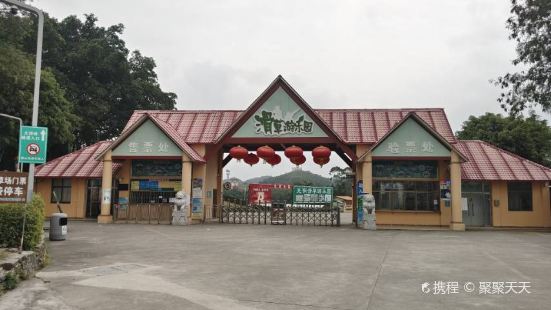 Guangming Grass Skiing Amusement Park