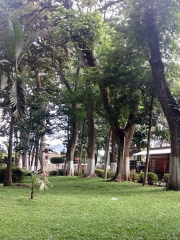 Parque Ecológico La Alameda