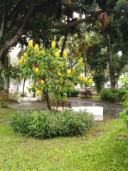 Parque San Martín