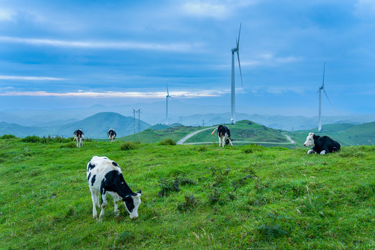 Nanshan Ranch