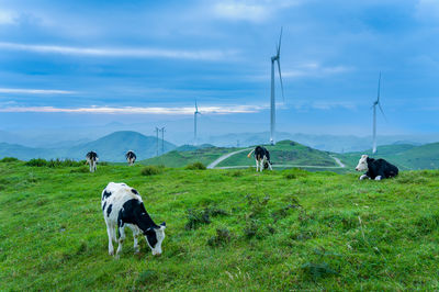 Nanshan Ranch