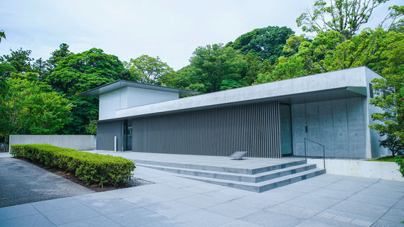 D.T. Suzuki Museum