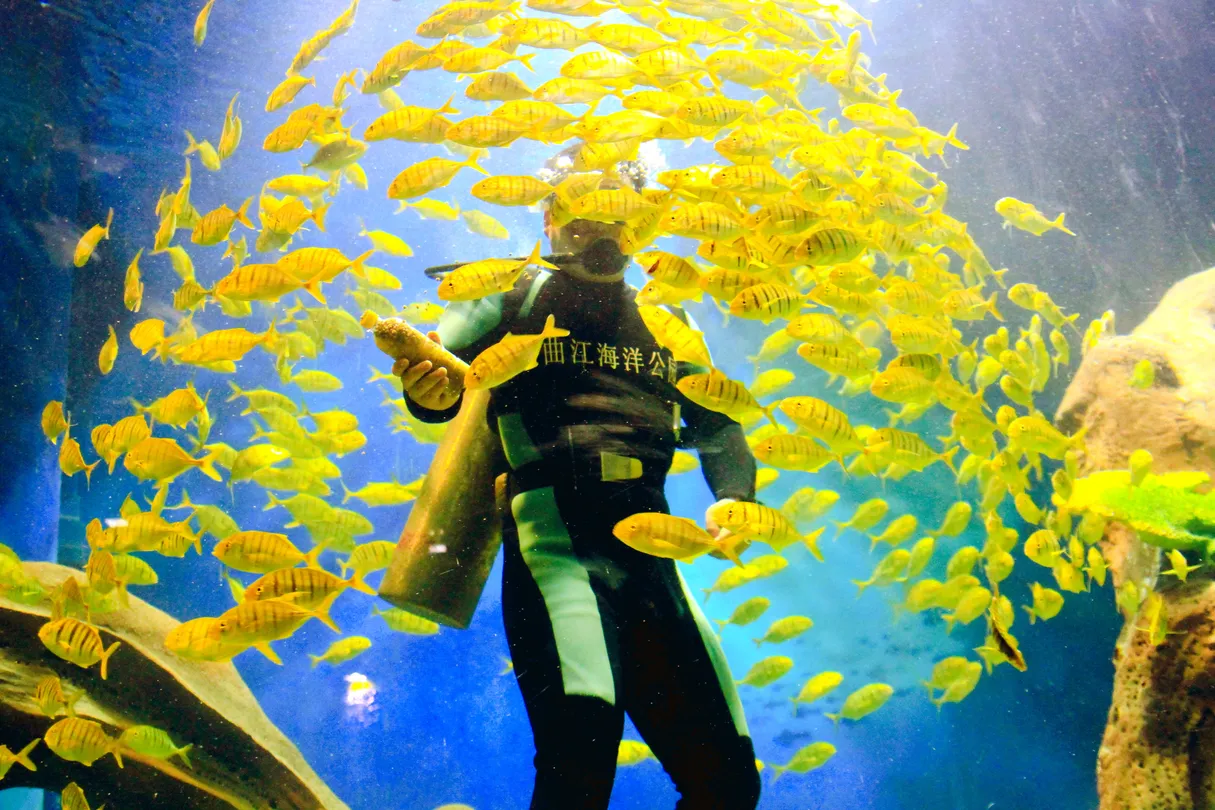 2_曲江海洋極地公園