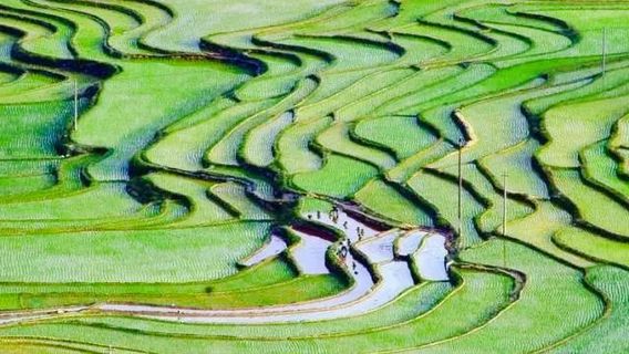 Baping Terraces