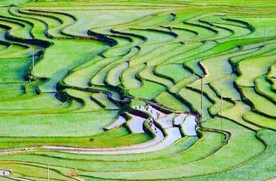 Baping Terraces