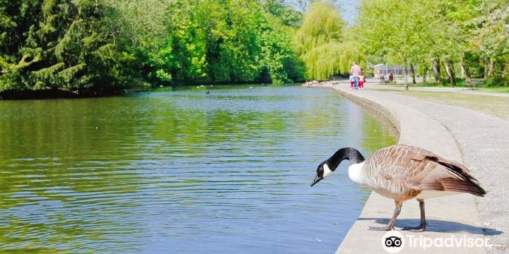 Thornes Park