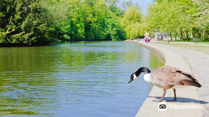 2_Thornes Park