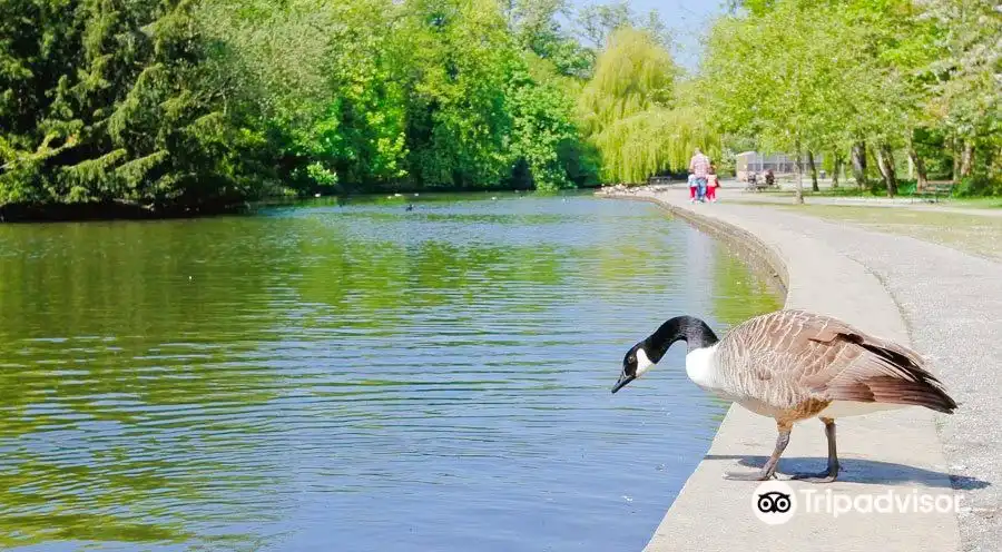 Hotels near Thornes Park