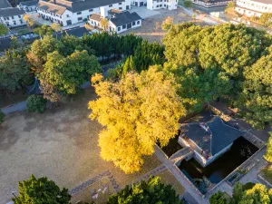 Luzhi Ancient Town