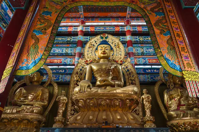 Buddhist Culture Experiences in Hohhot