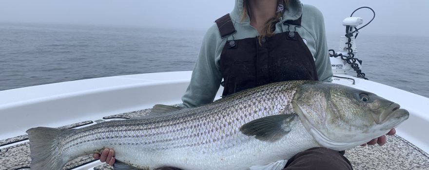 The Fat Shad Fishing Charters