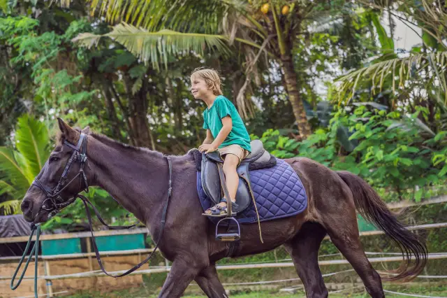 Horseback riding in Mauritius