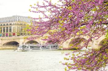 Top 9 Spring Outings in Paris