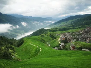 Longji Rice Terraces