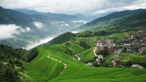 Longji Rice Terraces