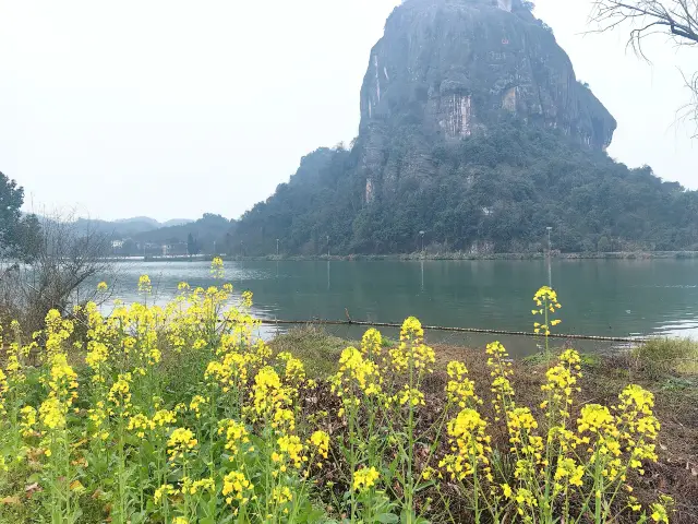 Rapeseed Flower Viewing in Chenzhou
