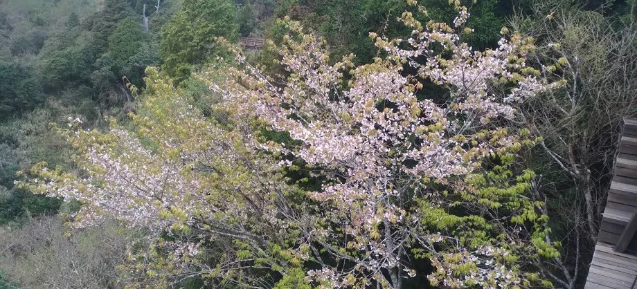 Spring Outings