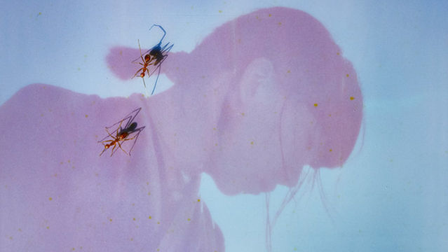 London | Ichiko Aoba World Tour