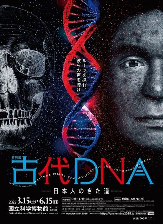特別展《古代DNA——日本人的軌跡》 | 國立科學博物館
