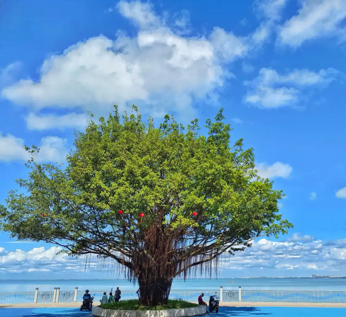 Hotels near Golden Beach