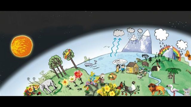 Wow! Amazing science in children&#39;s books | Royal Albert Memorial Museum and Art Gallery