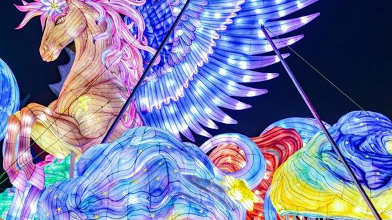 The 13th Lantern Exhibition of Heyang Street in Central Plains