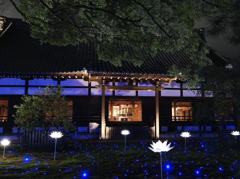 Blue Lotus Summer Illumination | Kyoto