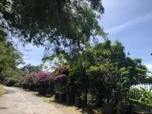 白馬市國家公園