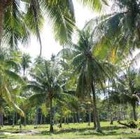 Samal Island, Davao