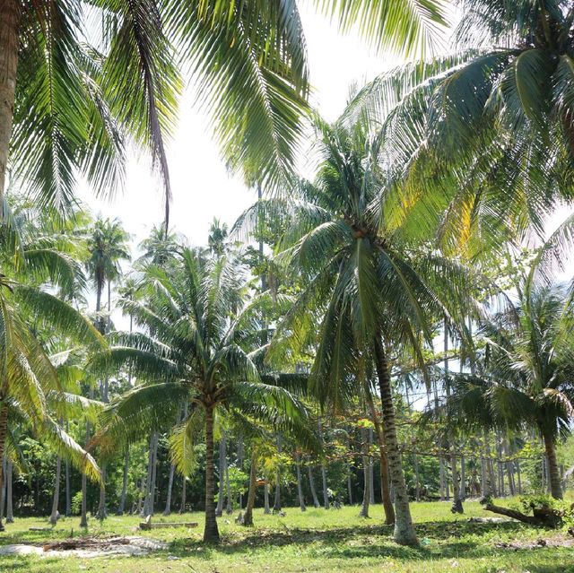 Samal Island, Davao