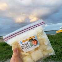 【西表島】馬とハンモックと絶景の宿　