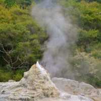 Rotorua