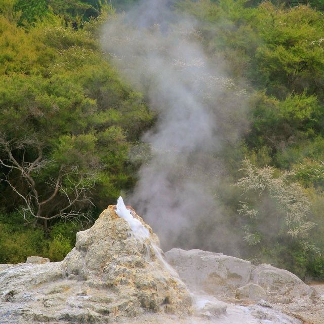 Rotorua