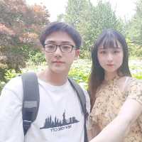 1박2일 가평 여행 (남이섬, 닭갈비