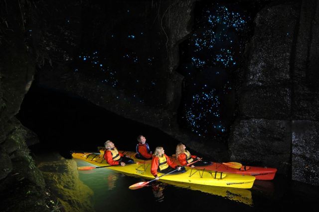 Waitomo Glowworm Caves