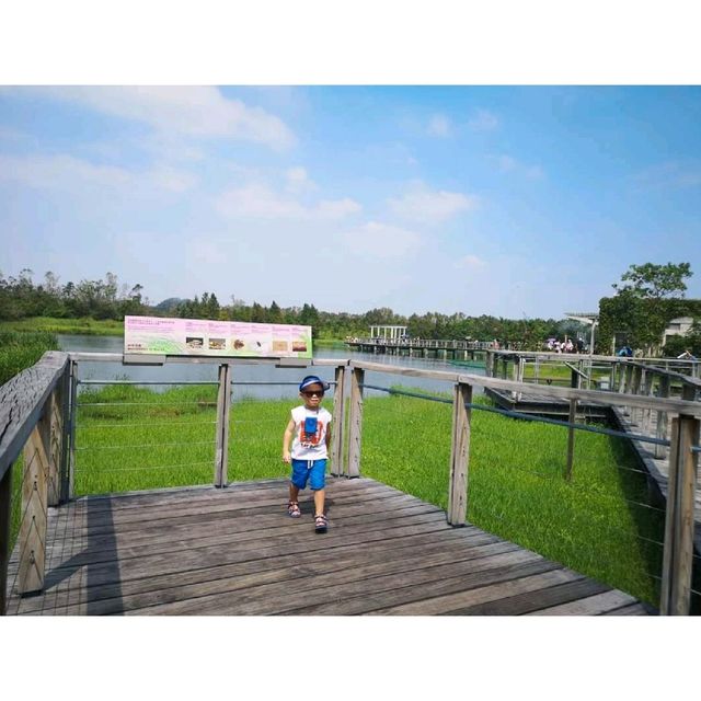 香港濕地公園