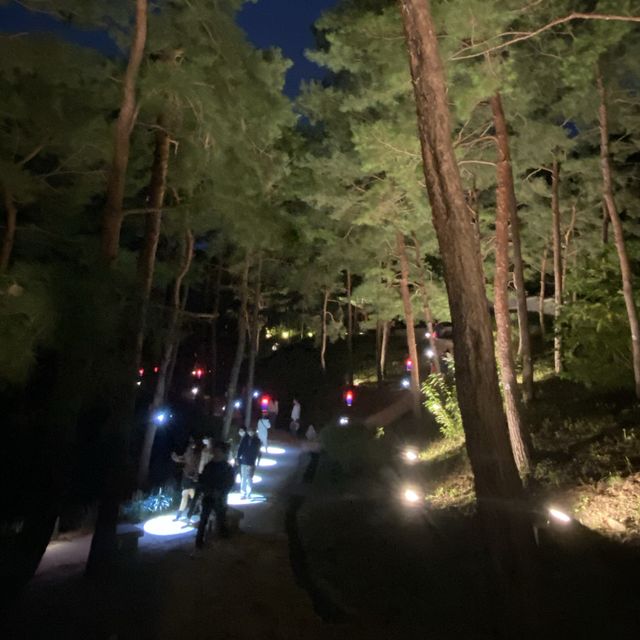 밤에도 멋스러운 화성행궁