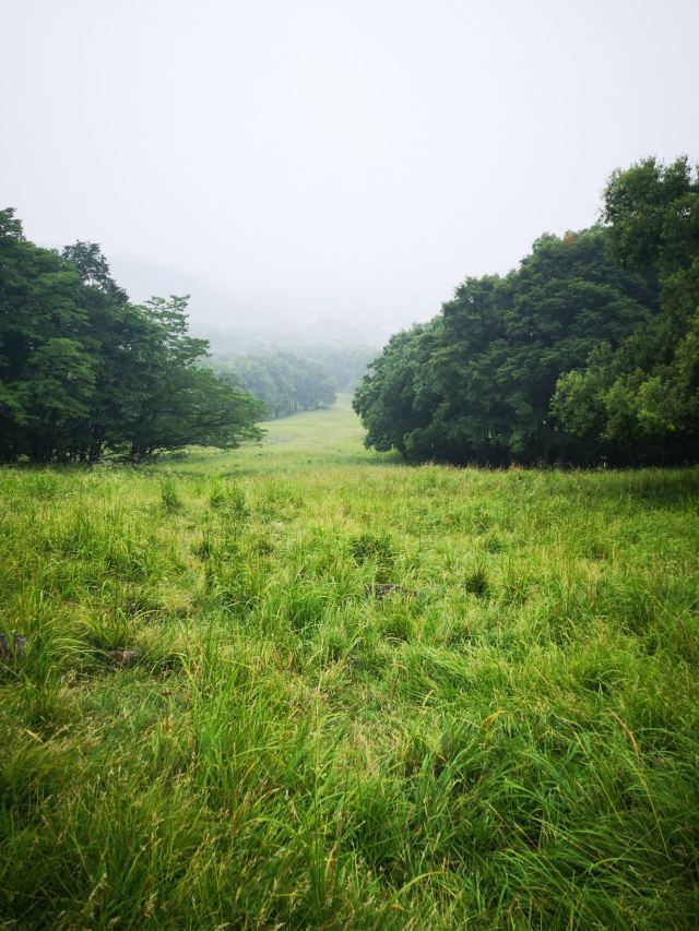 Pingshan Shenlu Tourist Area