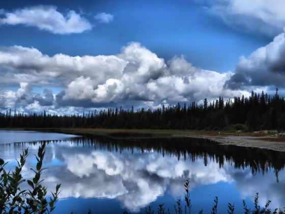 Golden Lake Water Forest Scenic Area