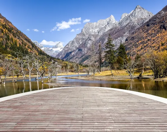 Siguniang Mountain Looking Up at the Starry Sky  [The first choice for overseas tourists] Reviews