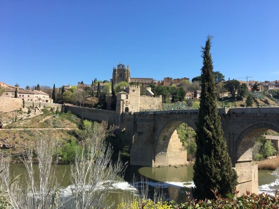 Toledo Bridge