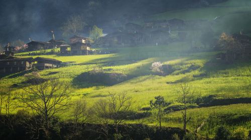 霧裡村