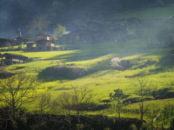 霧裡村