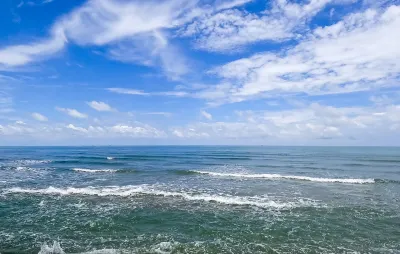 月桃月桃<南大東島>