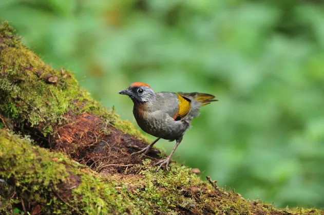 D'New 1 Hotel Near Sunway Pyramid (6 Min Only)